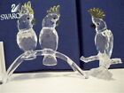 SWAROVSKI COCKATOOS & COCKATOO SET 5135939 & 261635 BNIB