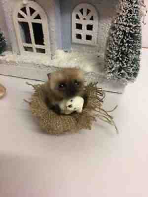 Needle felted , needle felt hedgehog dolls house,teddy, animal, ooak, hand made