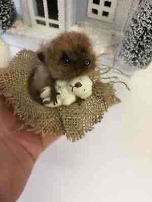 Needle felted , needle felt hedgehog dolls house,teddy, animal, ooak, hand made