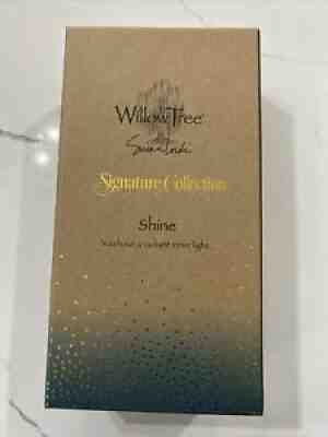 NEW Willow Tree Figurine "Shine" SIGNITURE COLLECTION Susan Lordi 27367 Demdaco