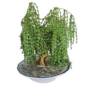 Vintage Beaded Bonsai Willow Tree in Woolworths Dish