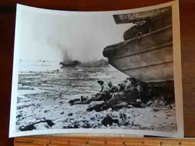 WW2 PRESS PHOTO First Division Marines Peleliu Palau Islands duck  9/28/44 